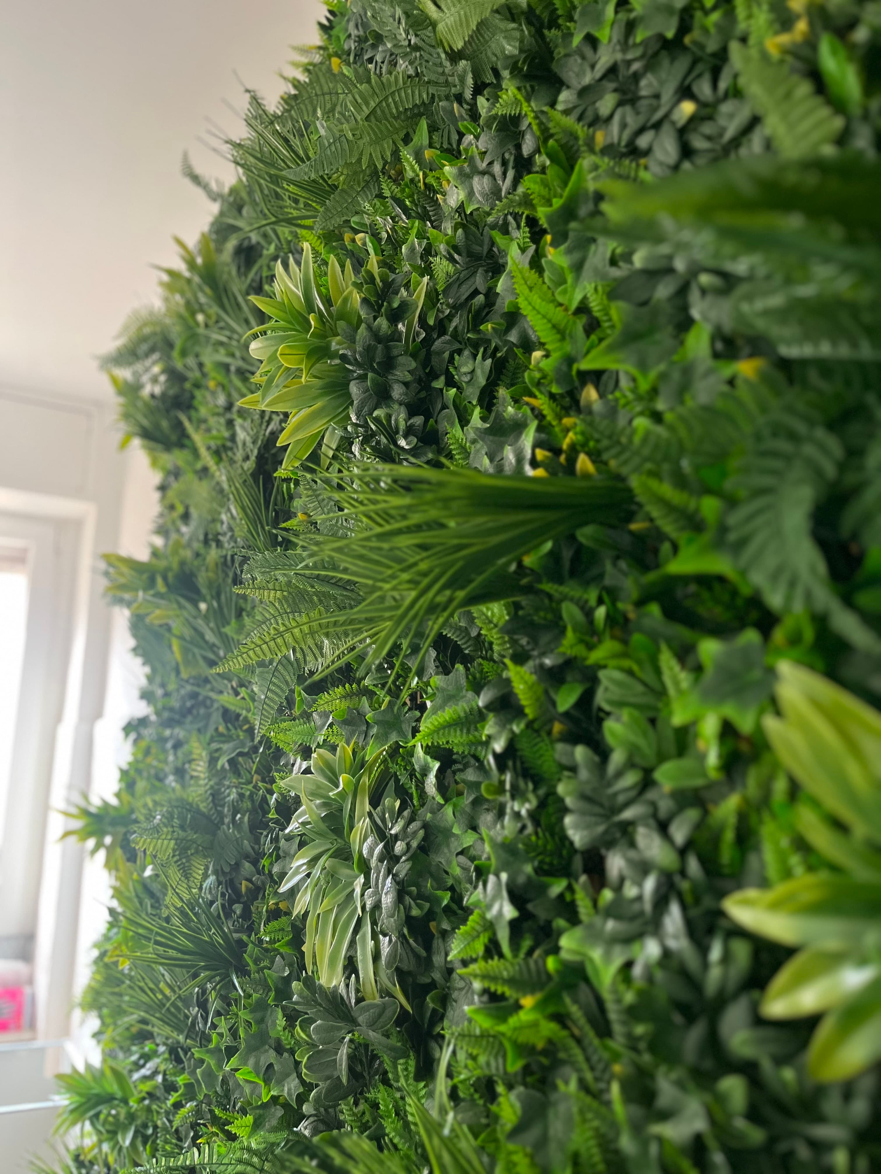 Begrünte Wand im Büro von IBE Hendel bei Tageslicht